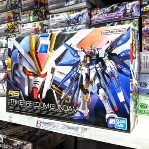 RG Strike Freedom Gundam