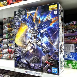 MG Gundam Astray Blue Frame D