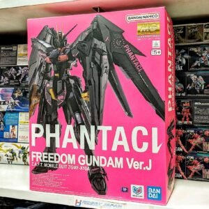 MG Phantaci Freedom Gundam Ver J