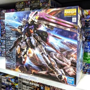 MG Aile Strike Gundam ver RM