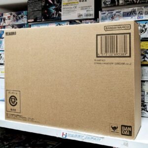 Metal Build Phantaci Strike Freedom Gundam Ver J Bandai Limited
