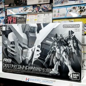 RG Destiny Gundam Deactive Mode